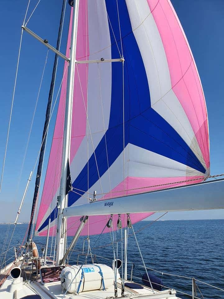 Blue Charter Altea 1