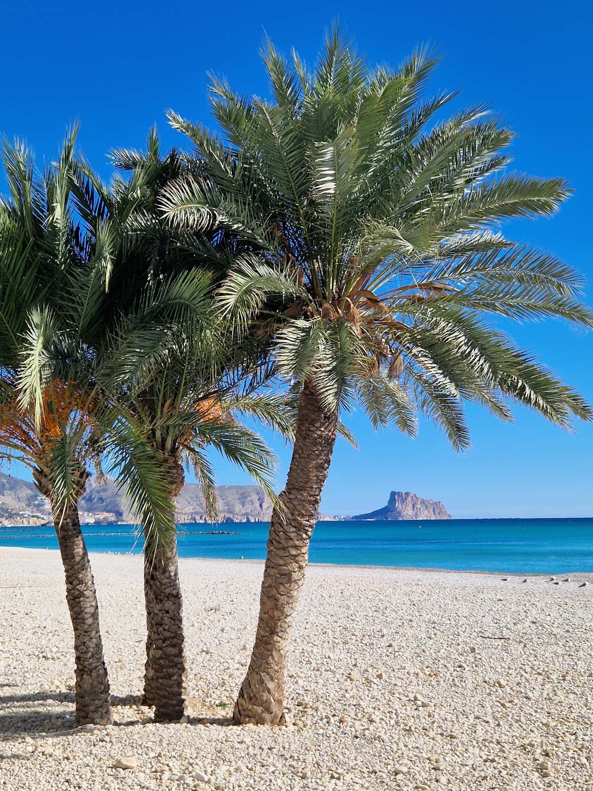 Platja de la Roda 3