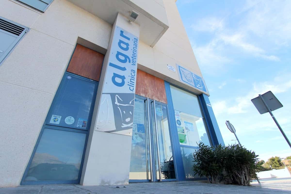 Algar Clínica Veterinaria 1