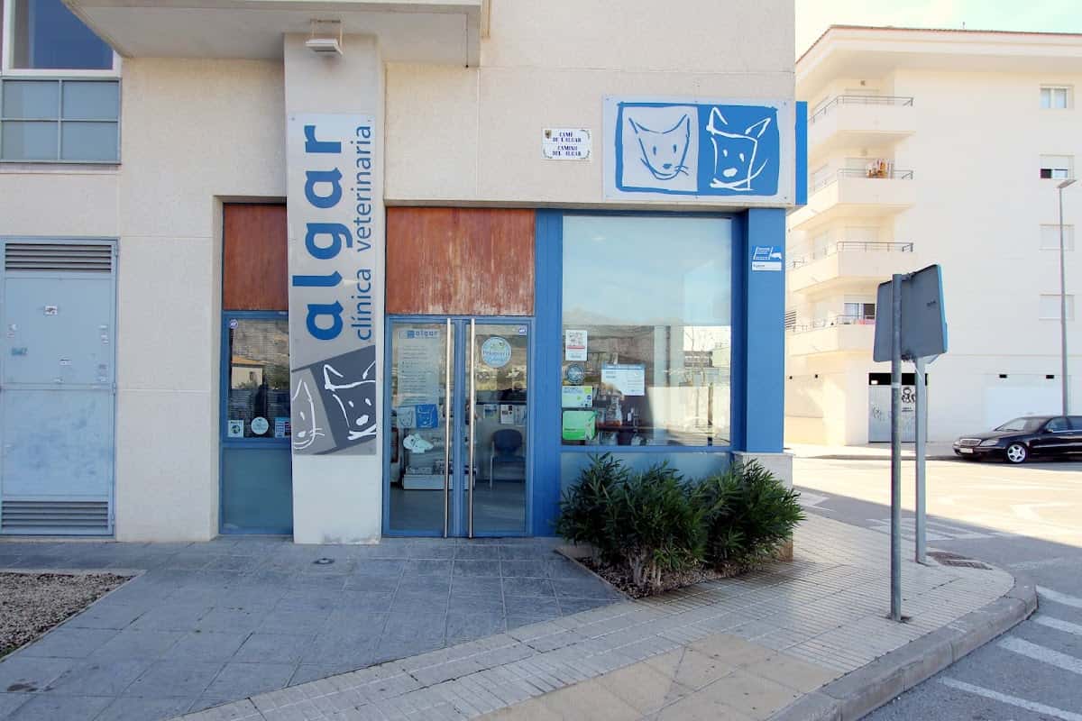 Algar Clínica Veterinaria 2