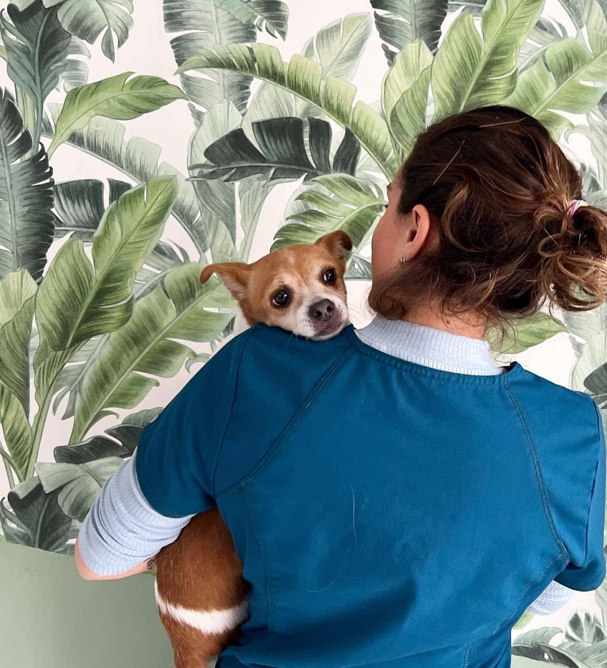 Clínica Veterinaria Althaia 1