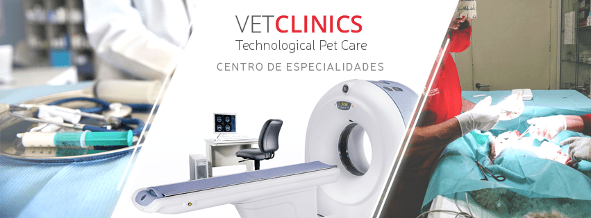 VetClinics Altea 3
