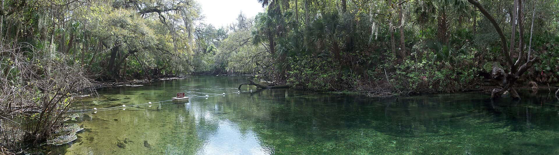 Blue Spring State Park — Blue Spring 1