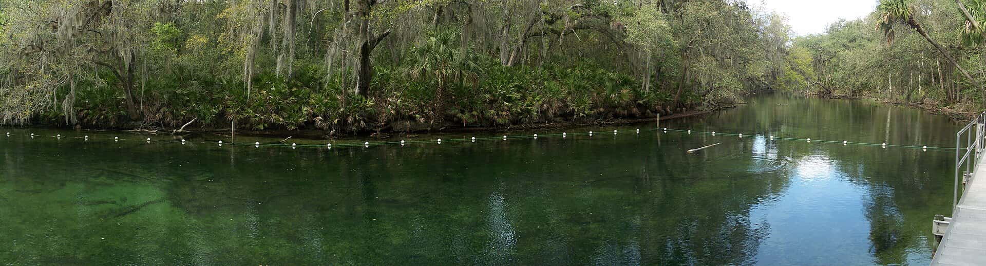 Blue Spring State Park — Blue Spring 2