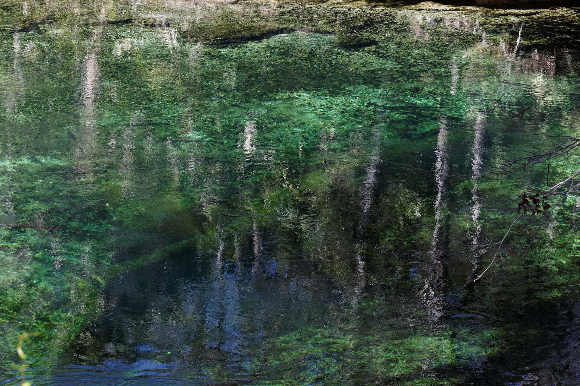 Blue Spring State Park — Blue Spring 3