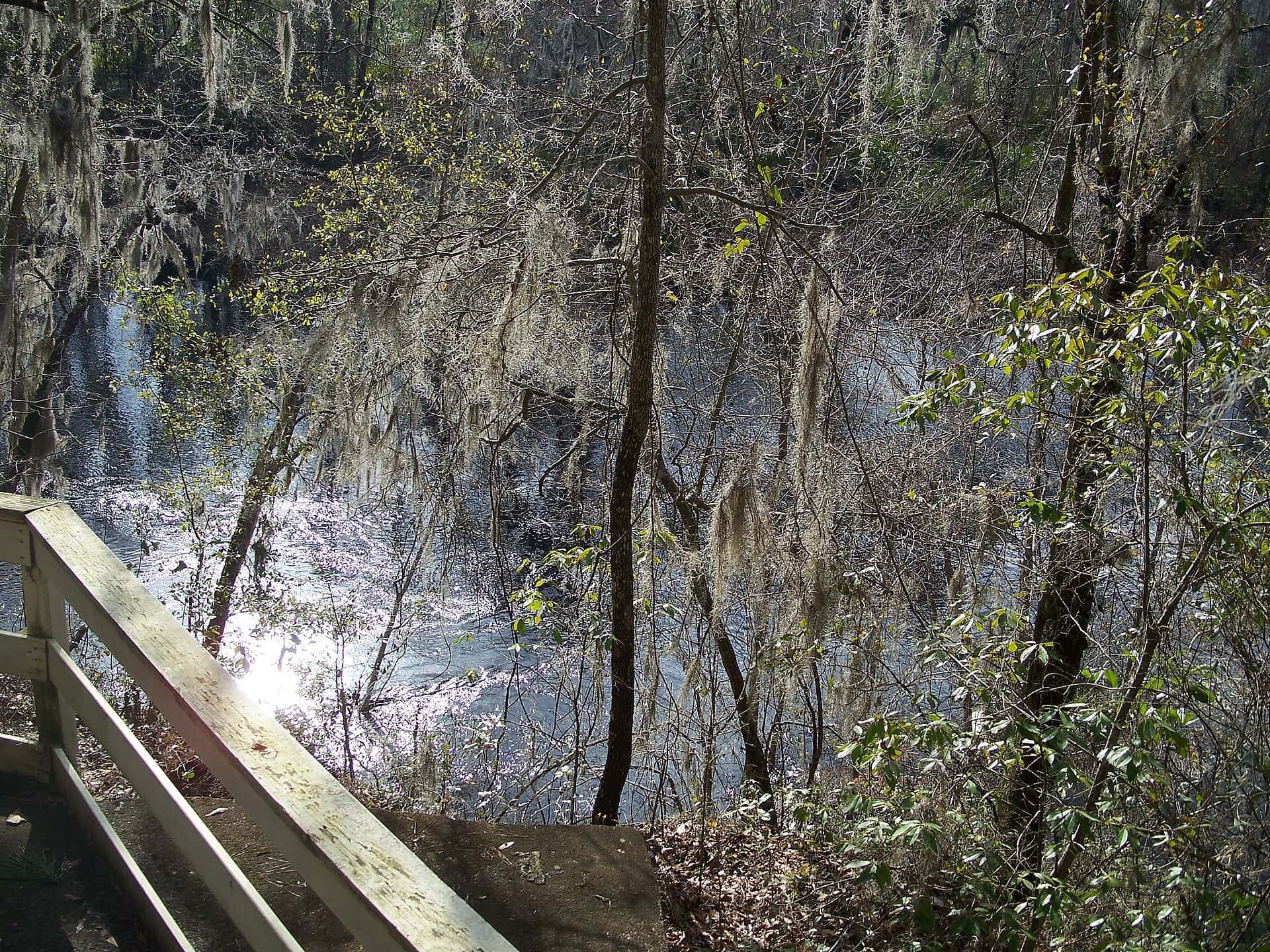 Stephen Foster Folk Culture Center State Park — Gopher 2
