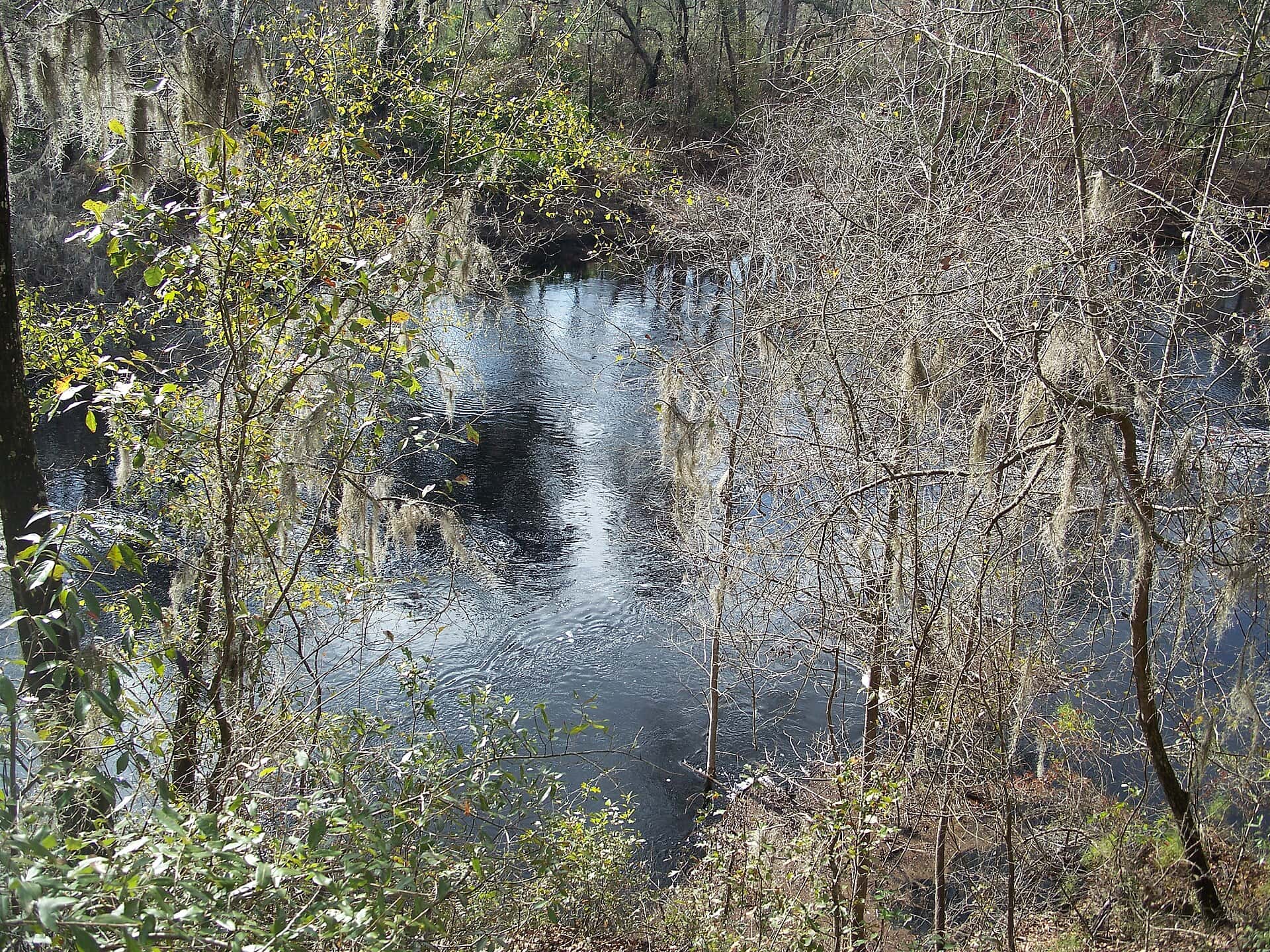 Stephen Foster Folk Culture Center State Park — Suwannee 3