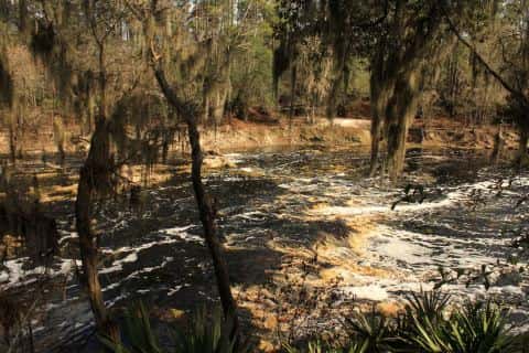 Big Shoals State Park