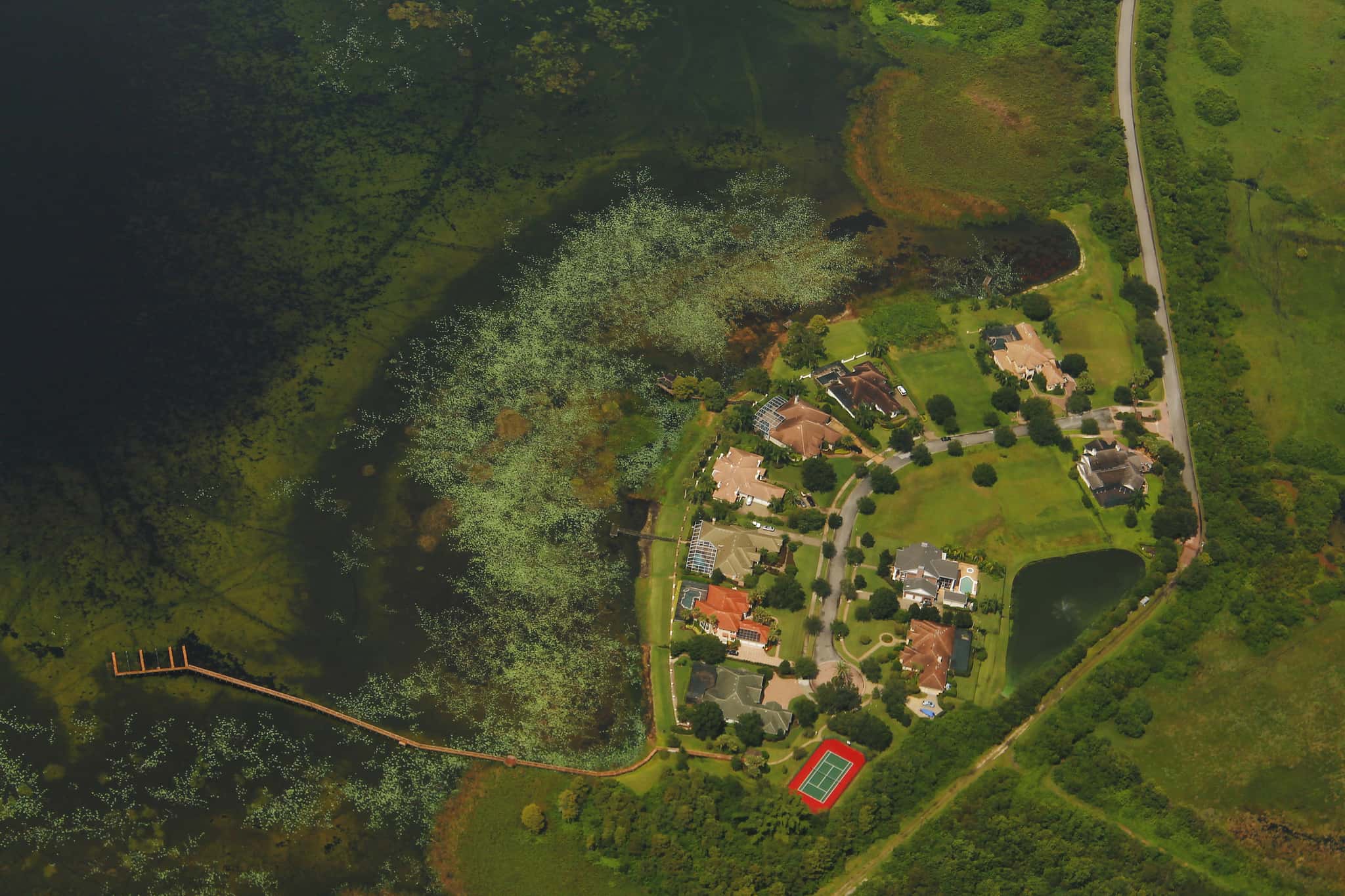 Lake Tohopekaliga 3