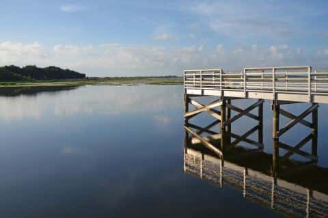 Lake Tohopekaliga