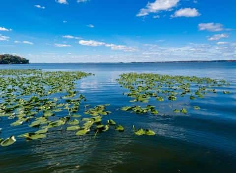 Lake Eustis