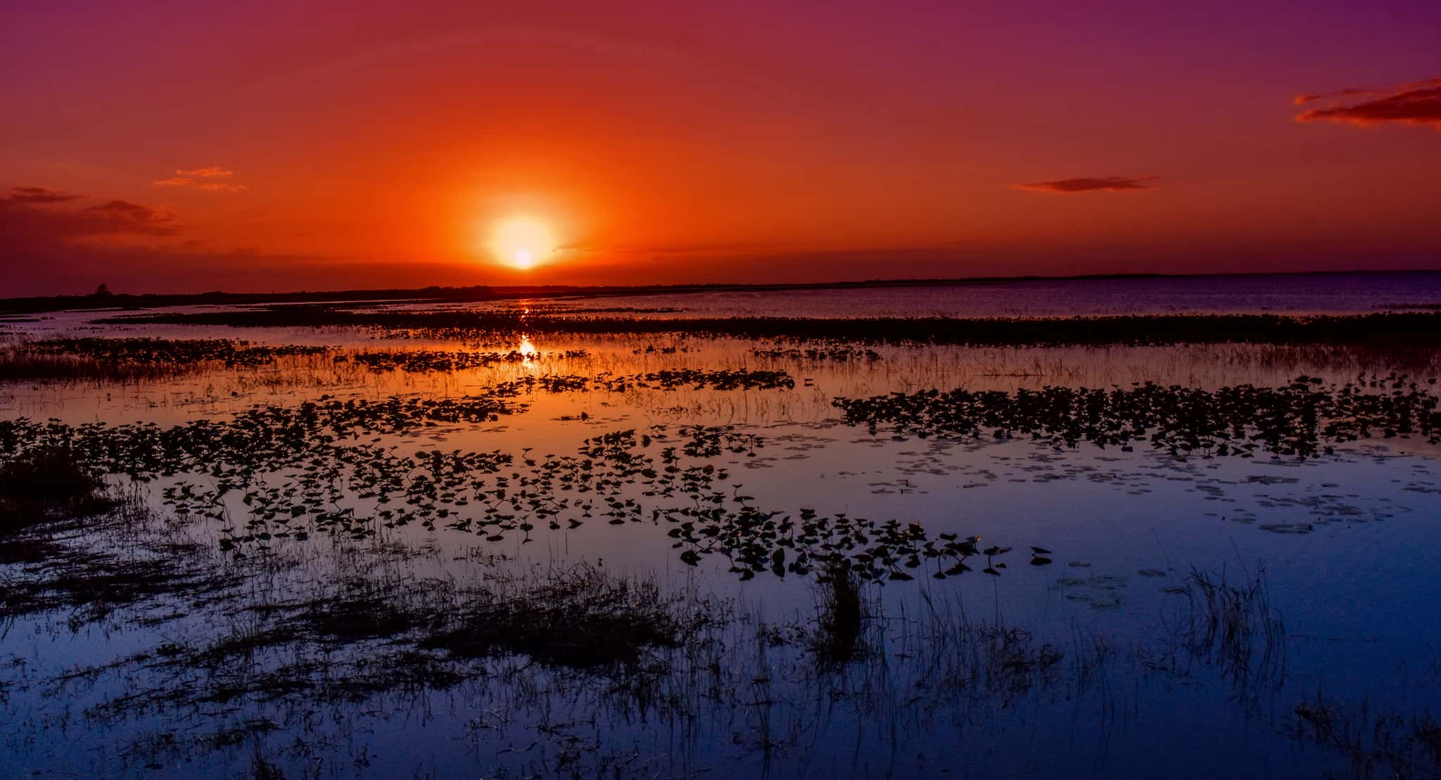 Lake Kissimmee 1