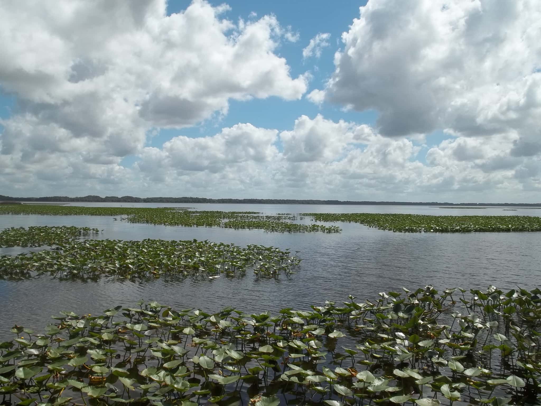 Lake Istokpoga 3