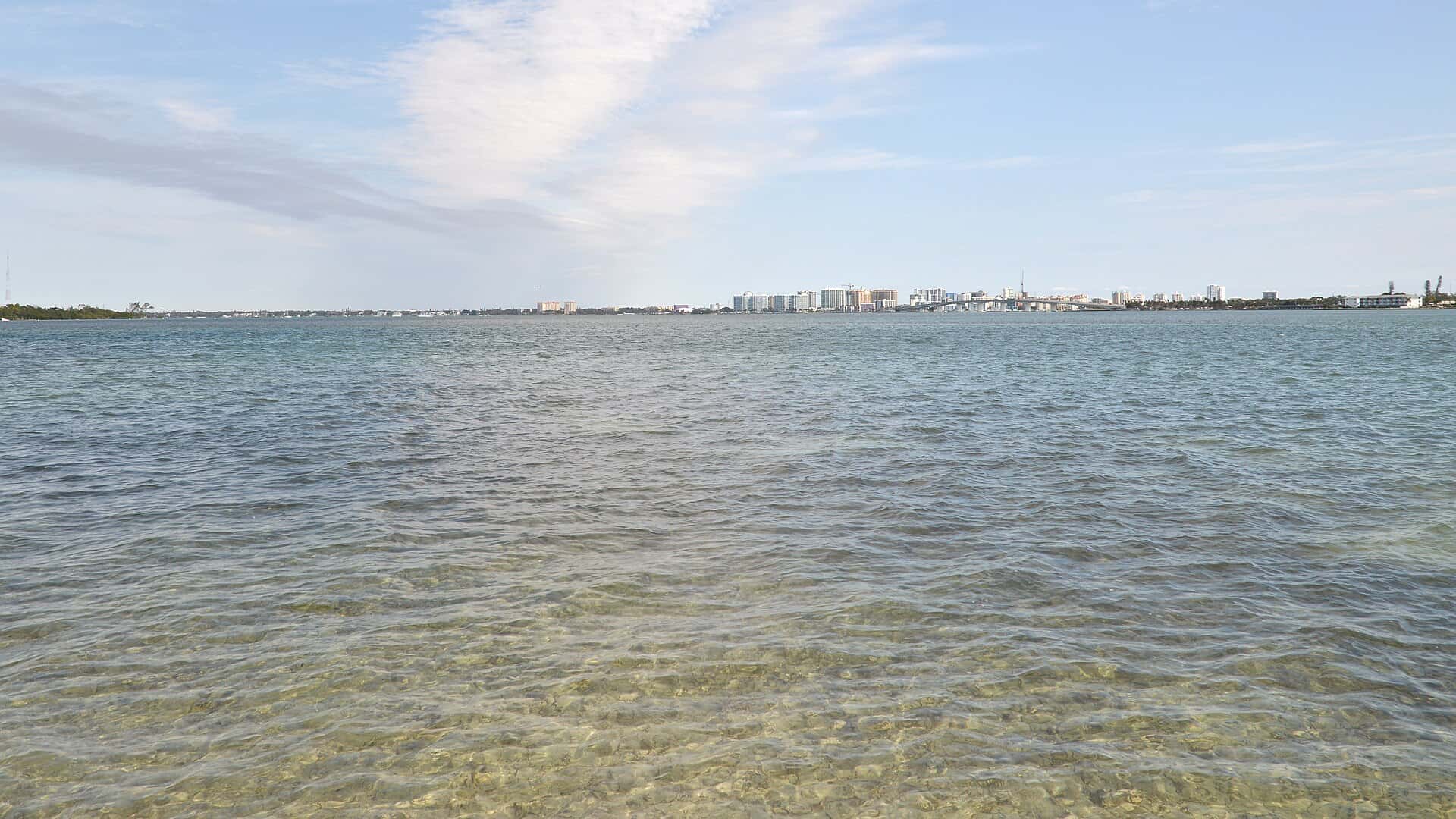 Sarasota Bay Fishing: Snook, Trout, Redfish & 9,278 Acres of Grass 2