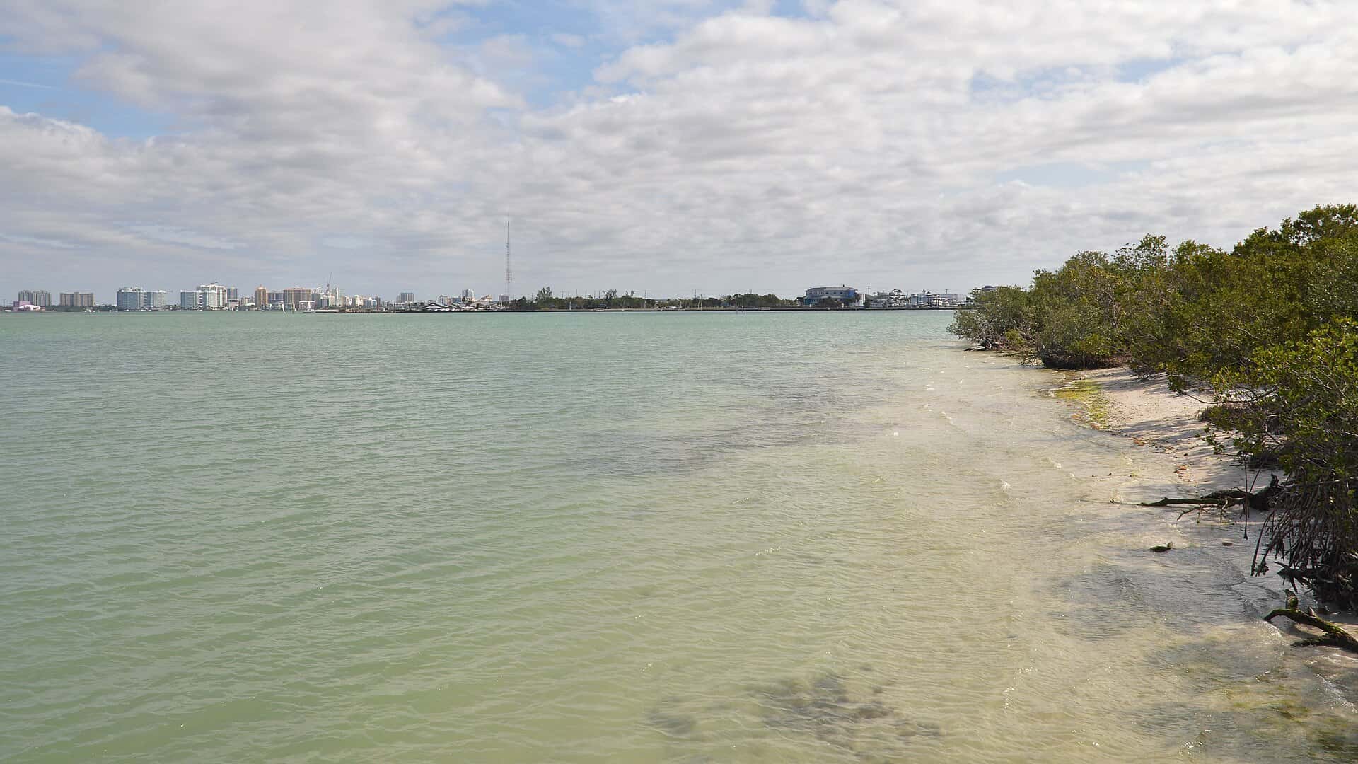 Sarasota Bay Fishing: Snook, Trout, Redfish & 9,278 Acres of Grass 1