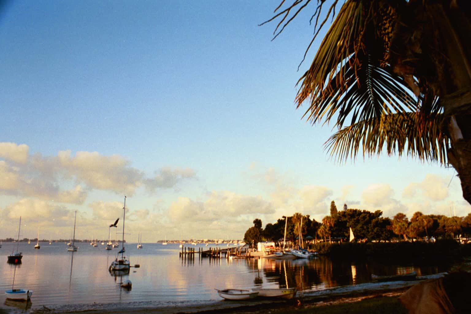 Sarasota Bay Fishing: Snook, Trout, Redfish & 9,278 Acres of Grass 3