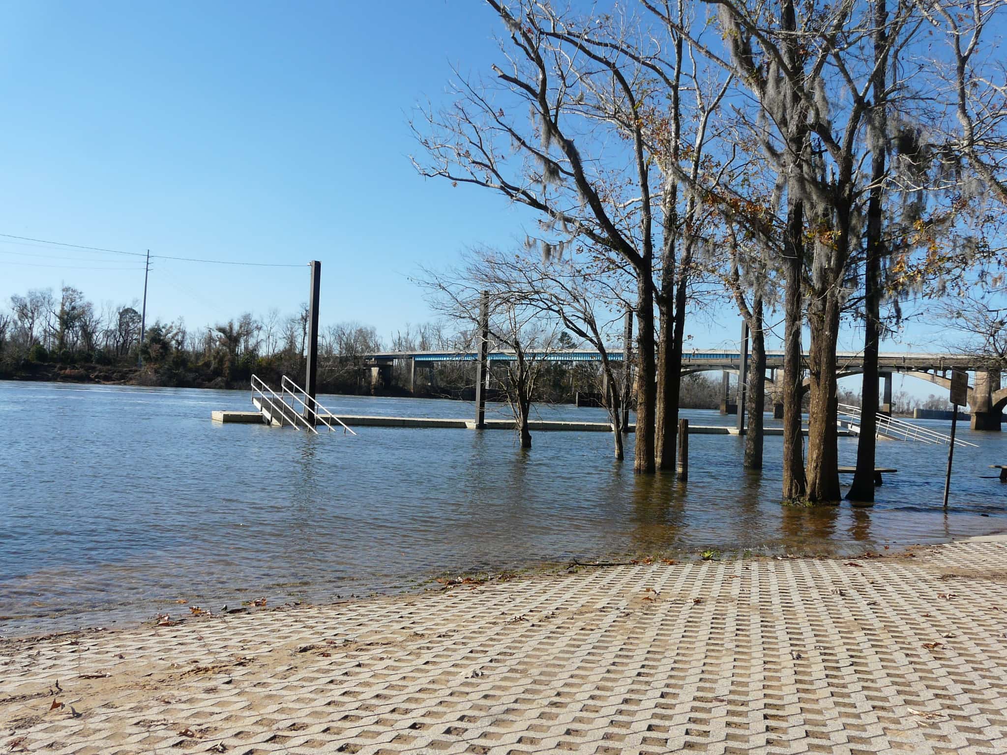 Apalachicola River 3
