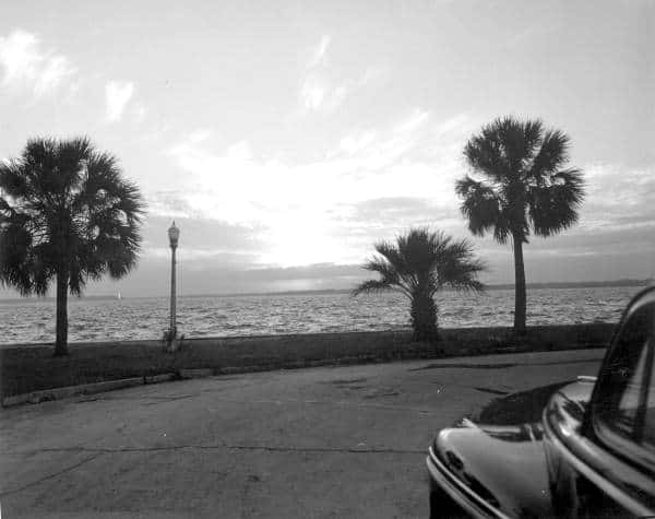 Saint Johns River 3