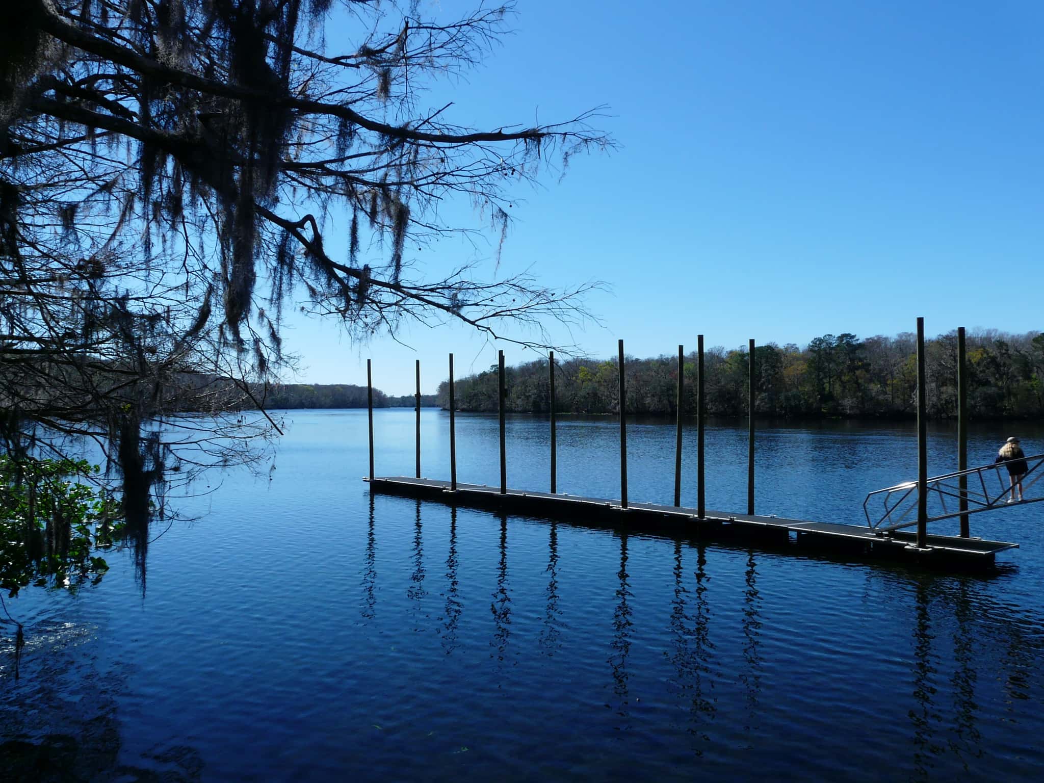 Suwannee River 2