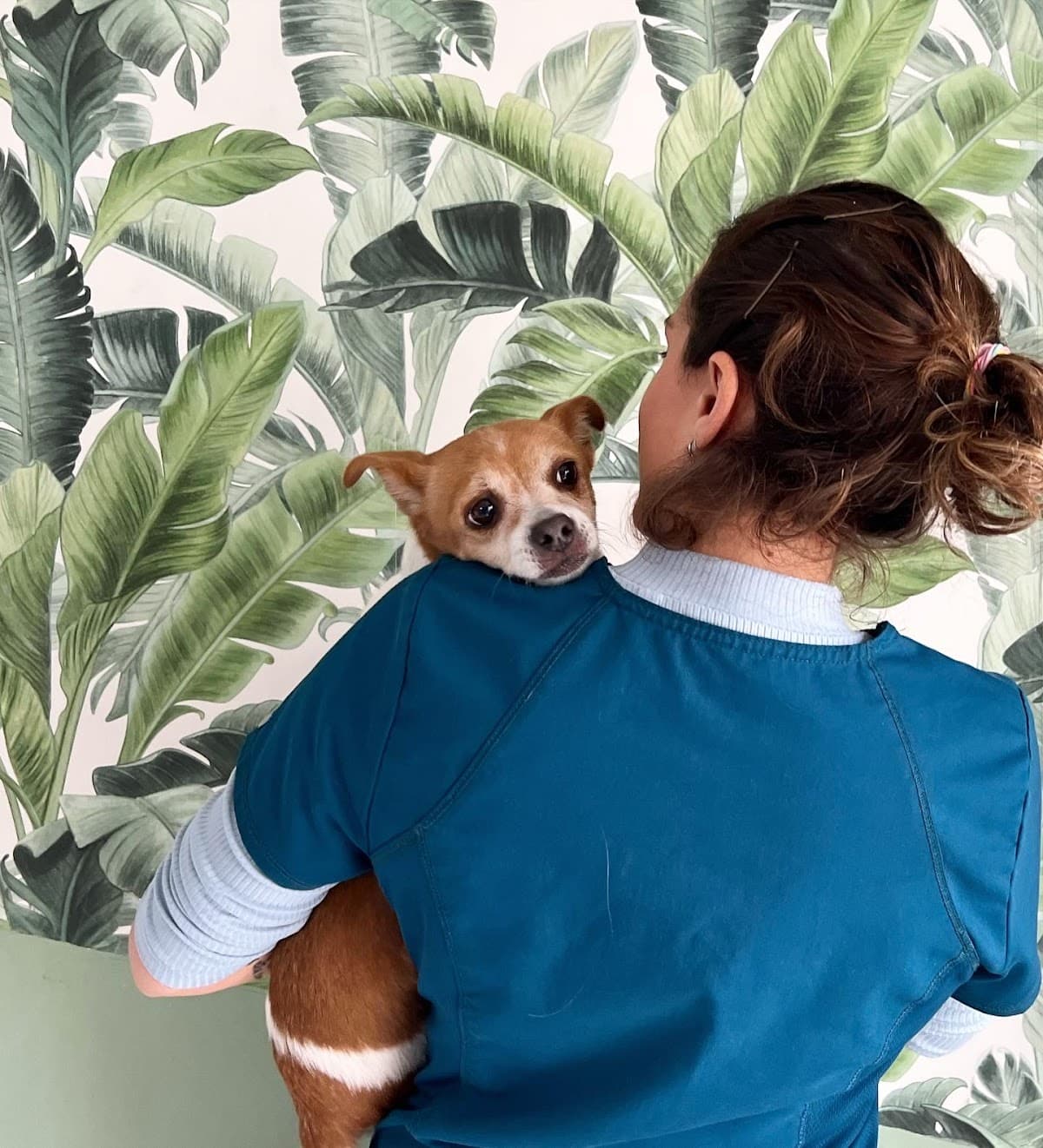 Althaia Veterinary Clinic