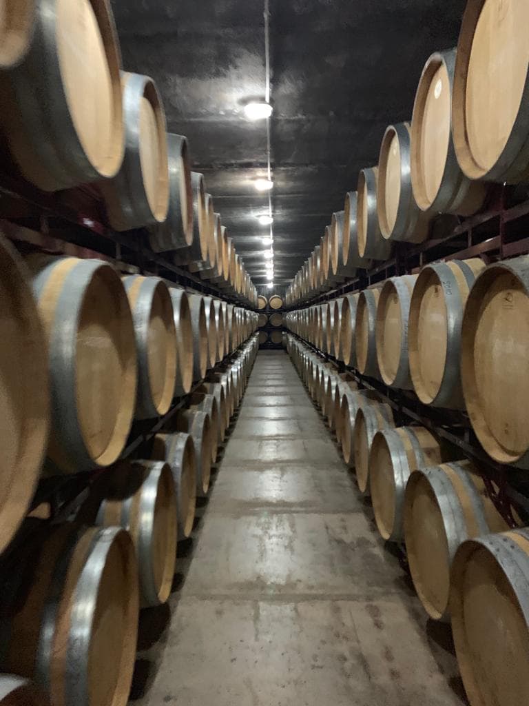 Bodegas Enrique Mendoza 2