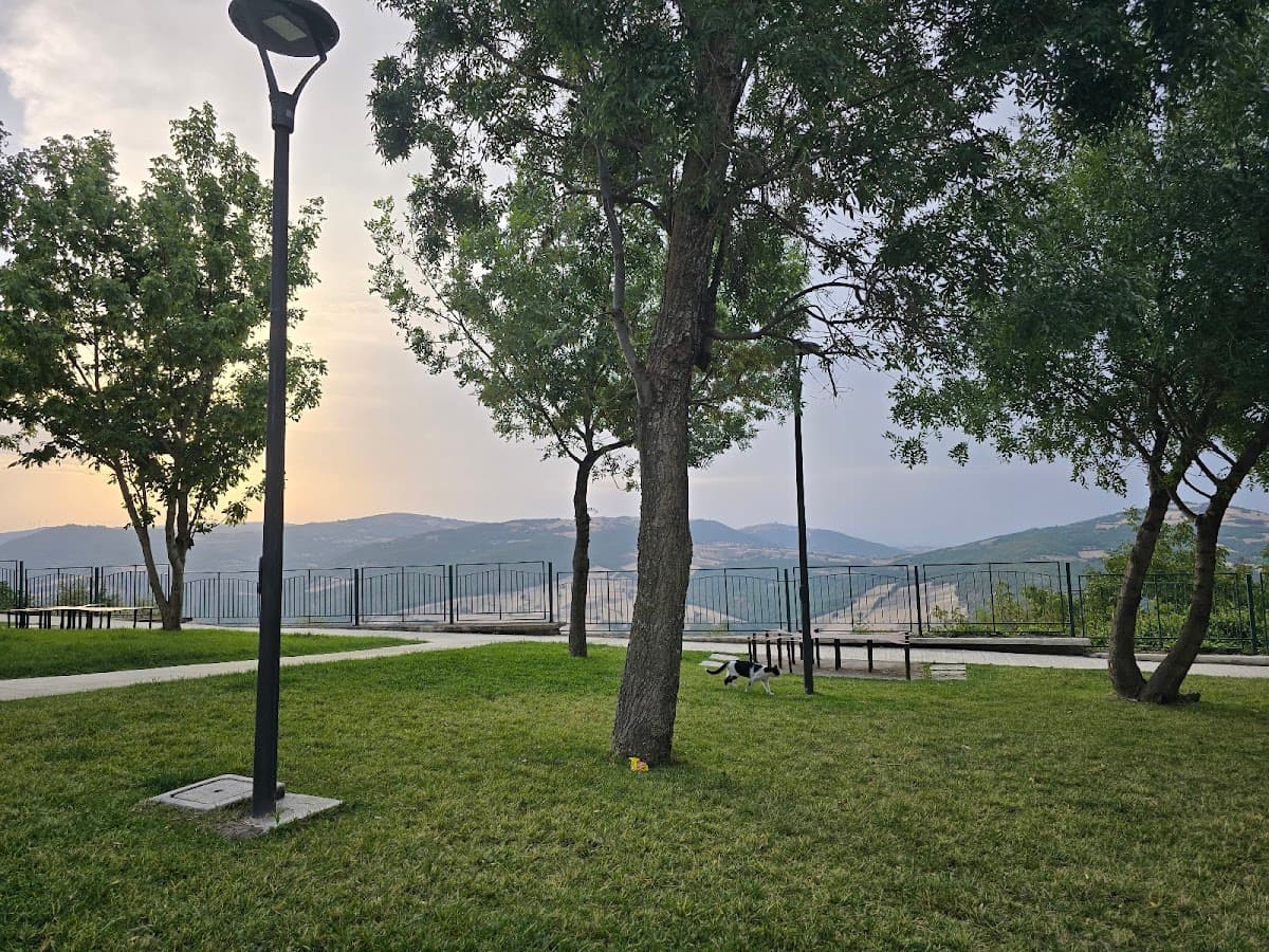 Parco Liliana Rossi 2