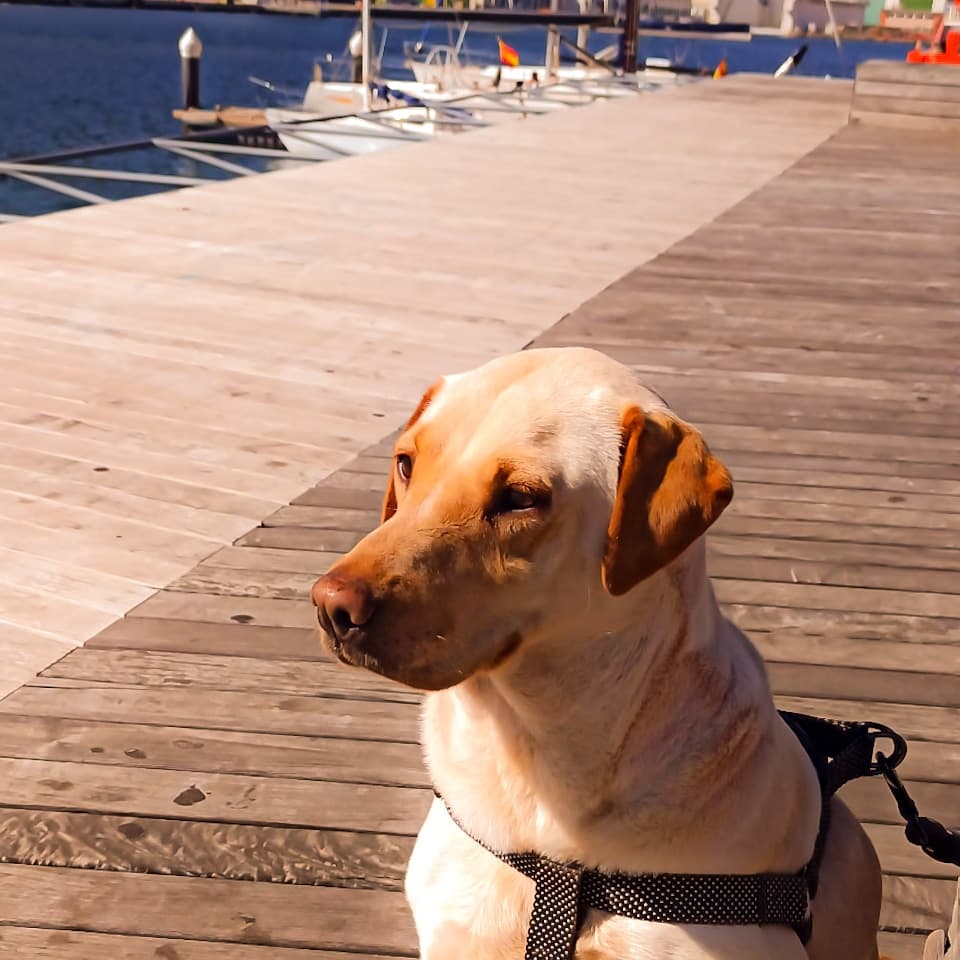 Veterzoo Cartagena 2