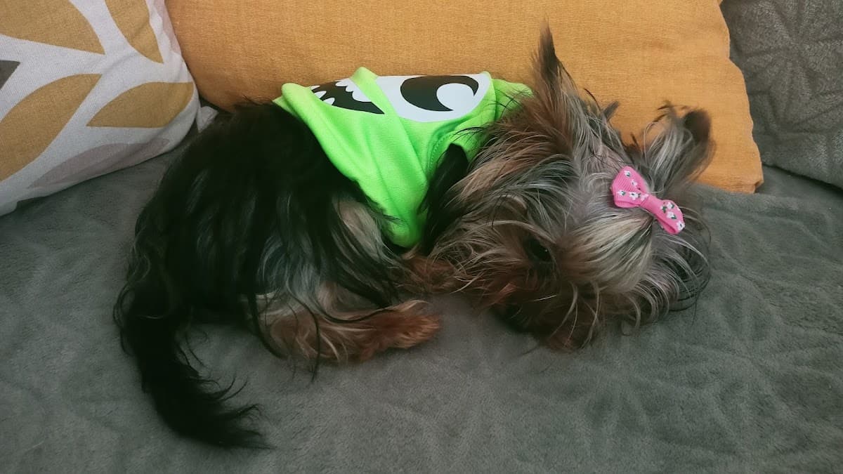 Veterzoo Cartagena 3