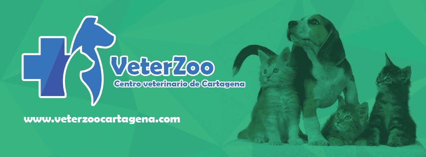 Veterzoo Cartagena 1
