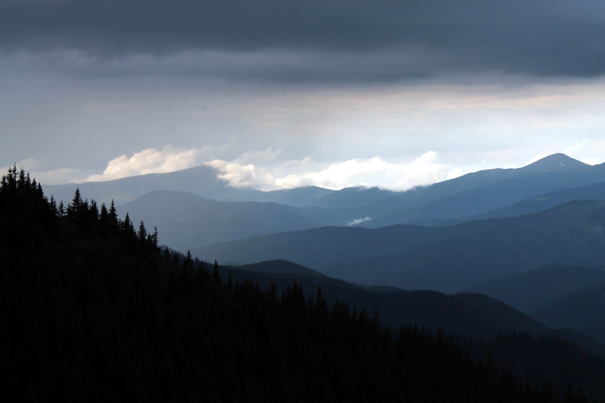 Política de Privacidad