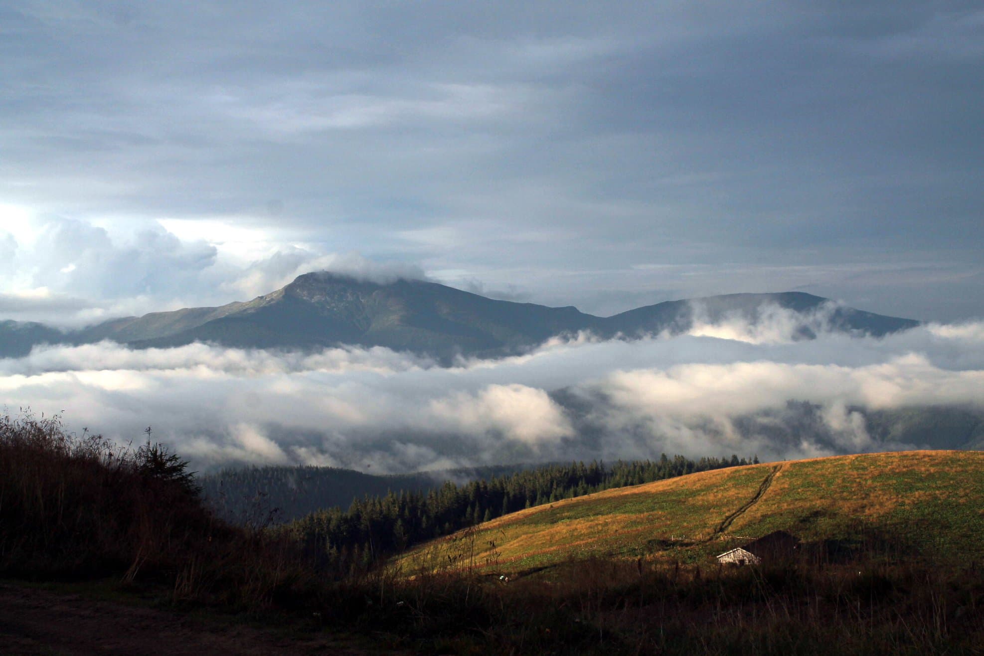 Términos de Servicio