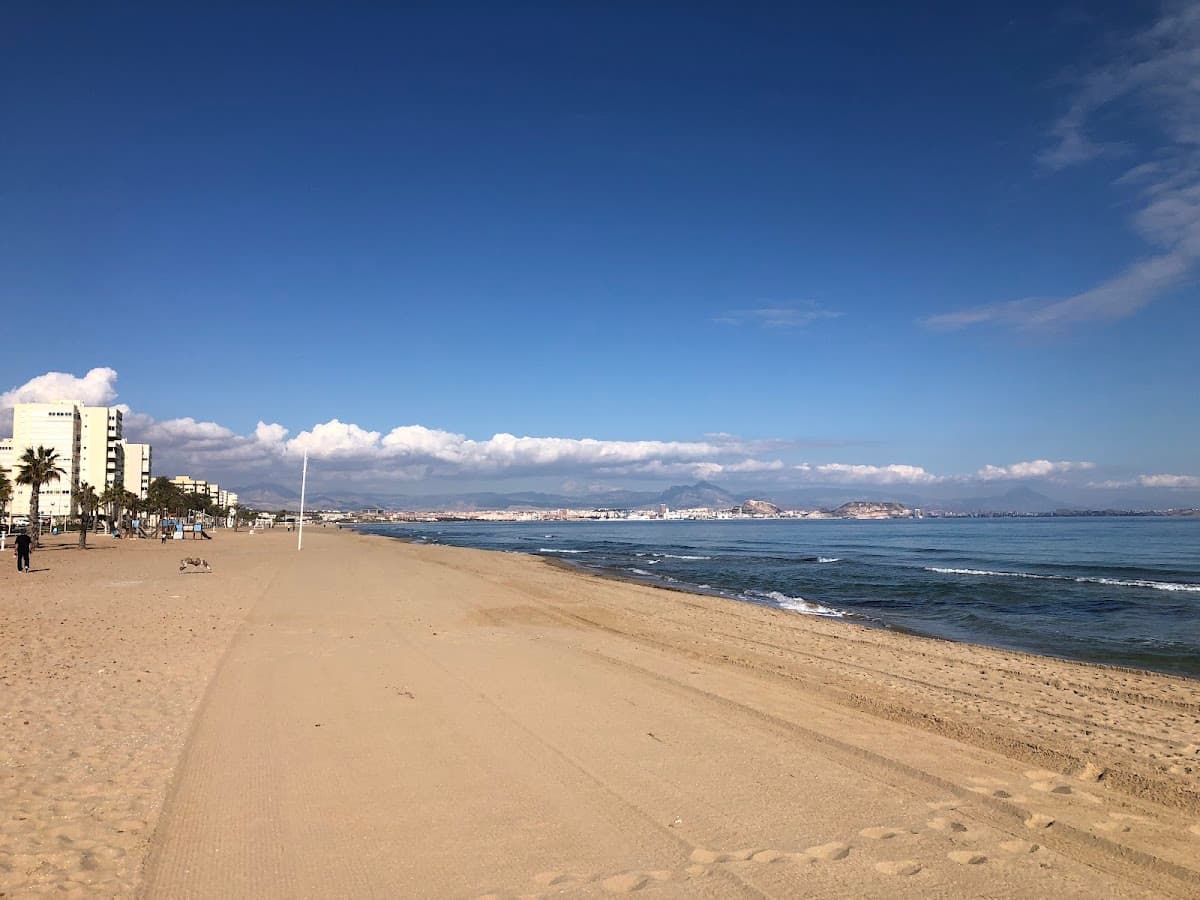 Playa del Saladar