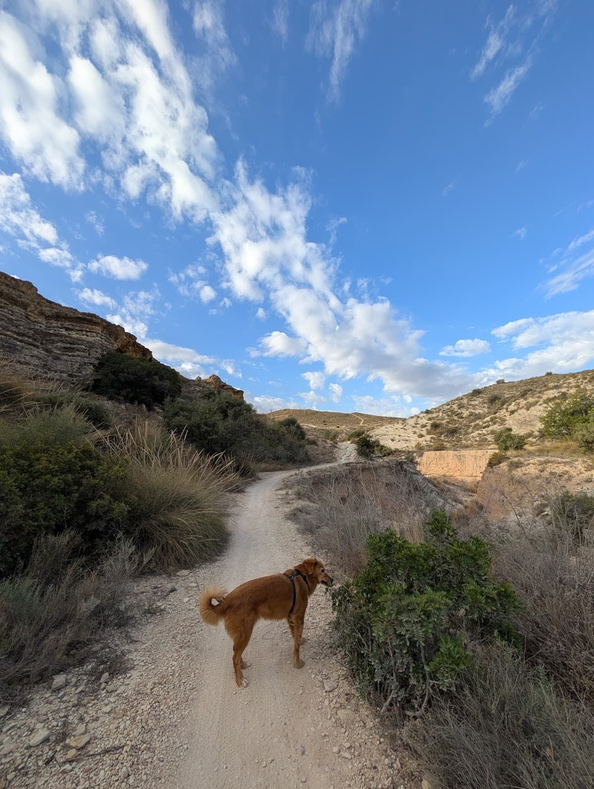Cuevas del Mont Raspeig