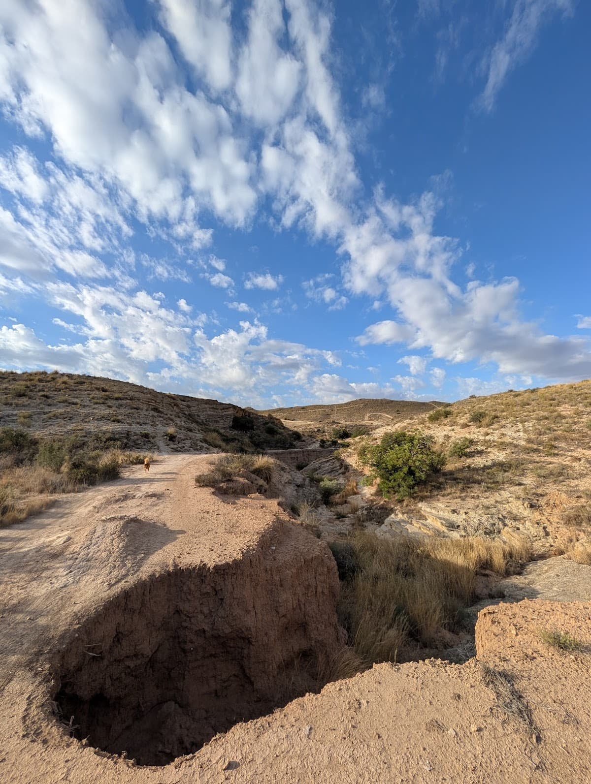 Cuevas del Mont Raspeig 3