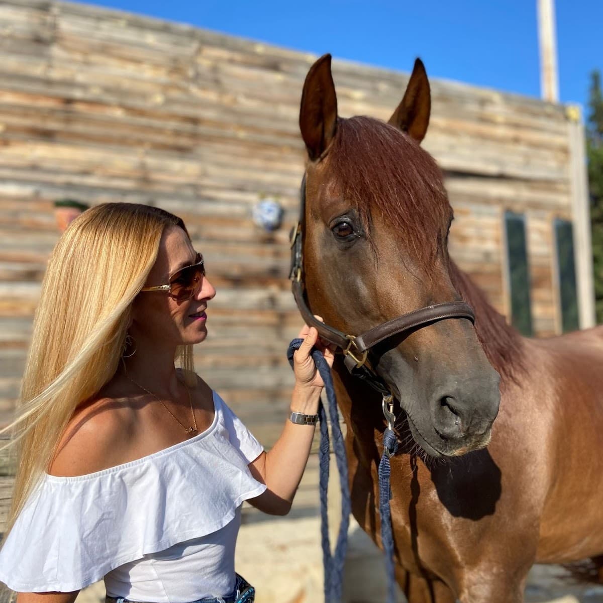 Equitación Alter Real 2