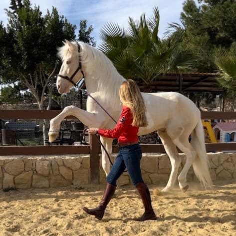 Equitación Alter Real