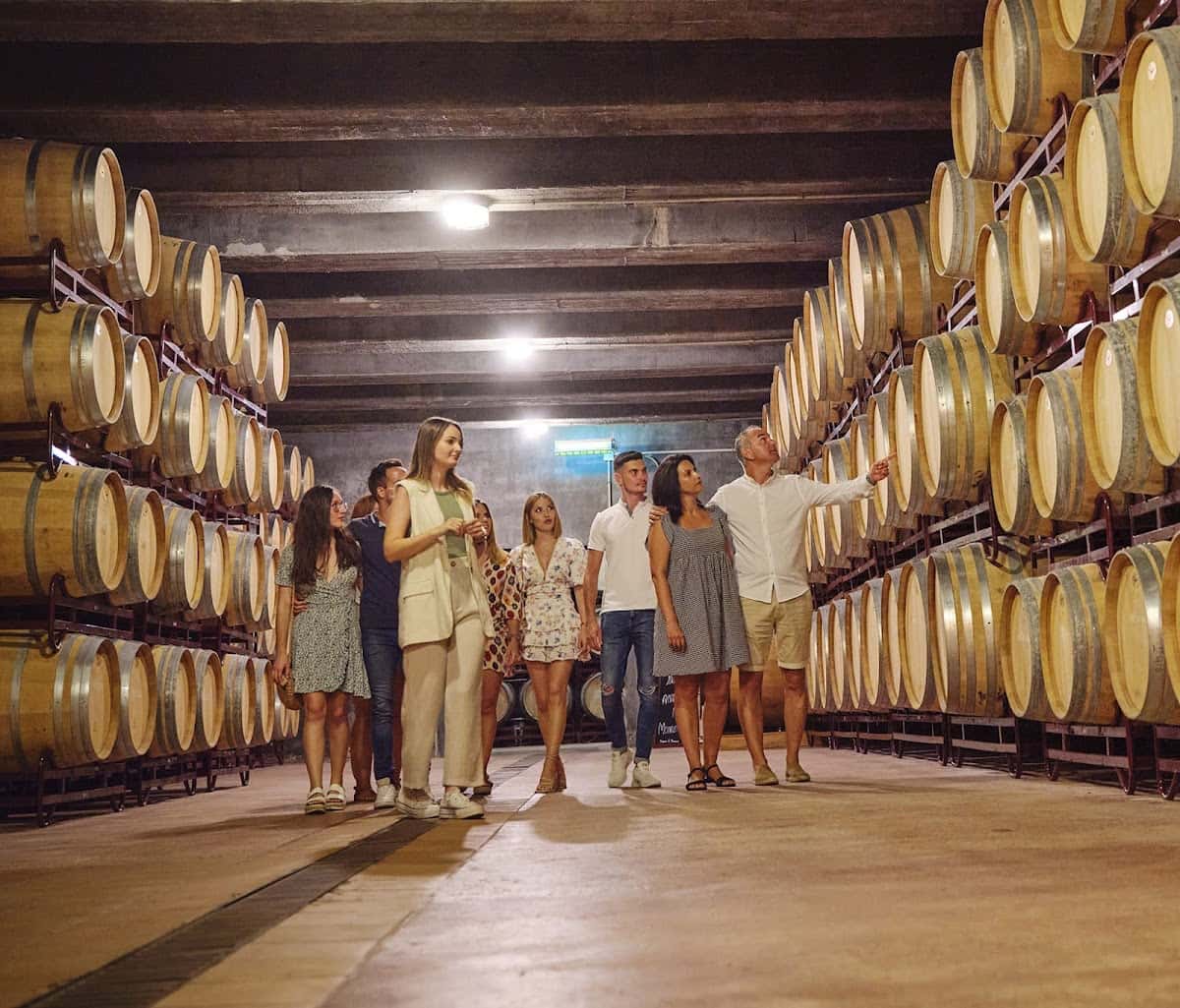 Bodegas Enrique Mendoza 1