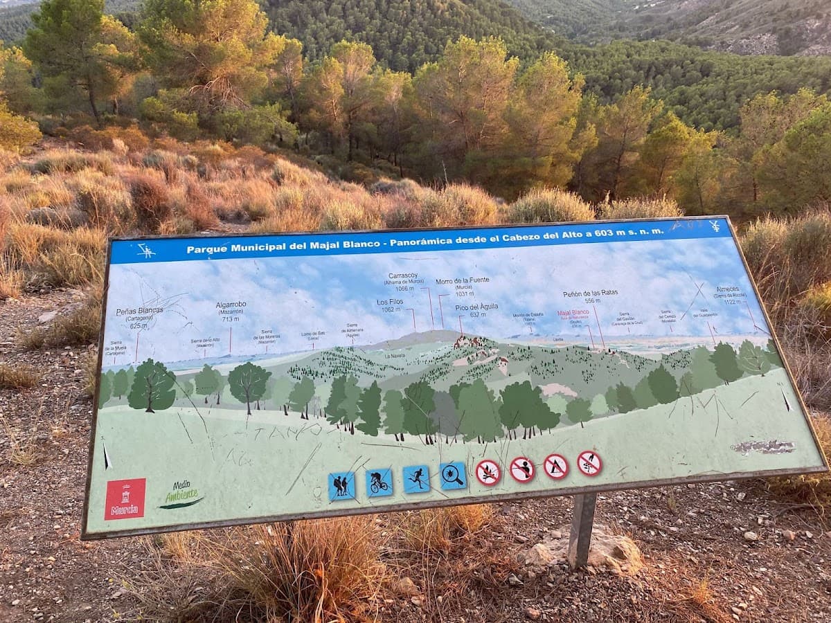 Antonio Pérez Nortes 1