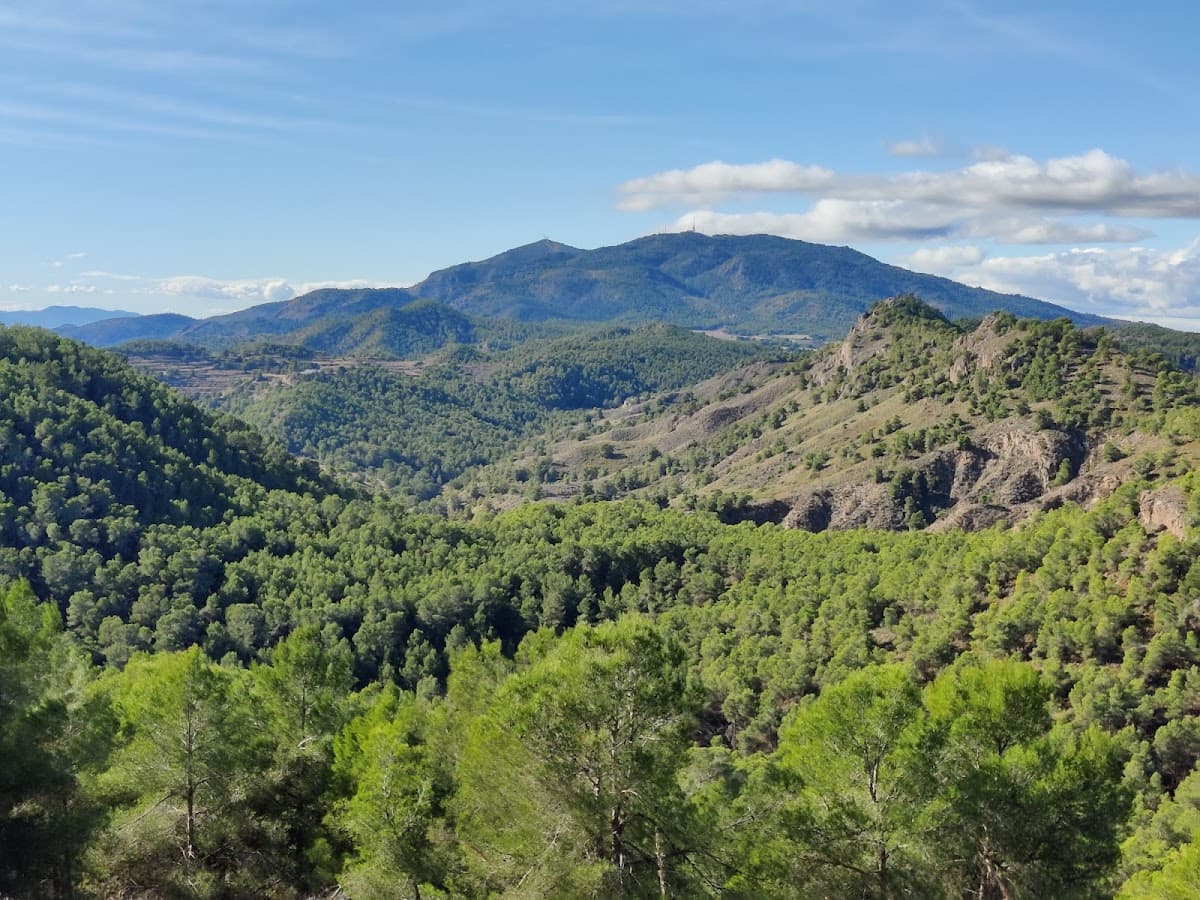 Antonio Pérez Nortes 2