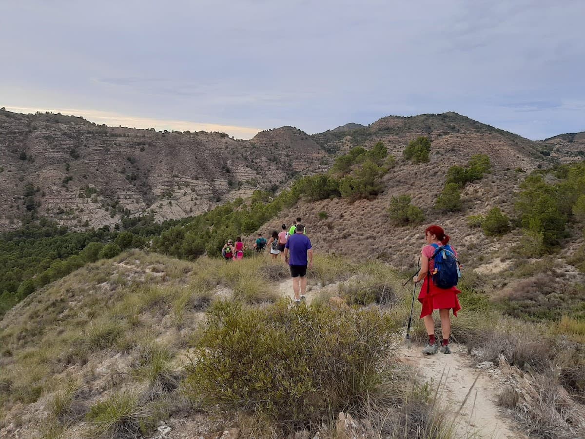 Antonio Pérez Nortes 3