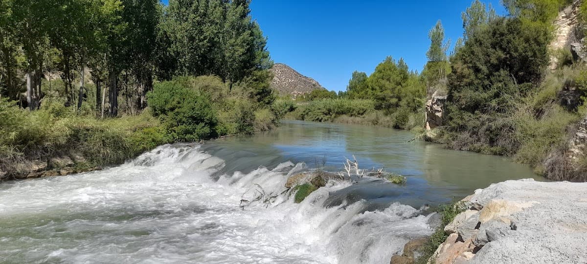 Río Segura 3