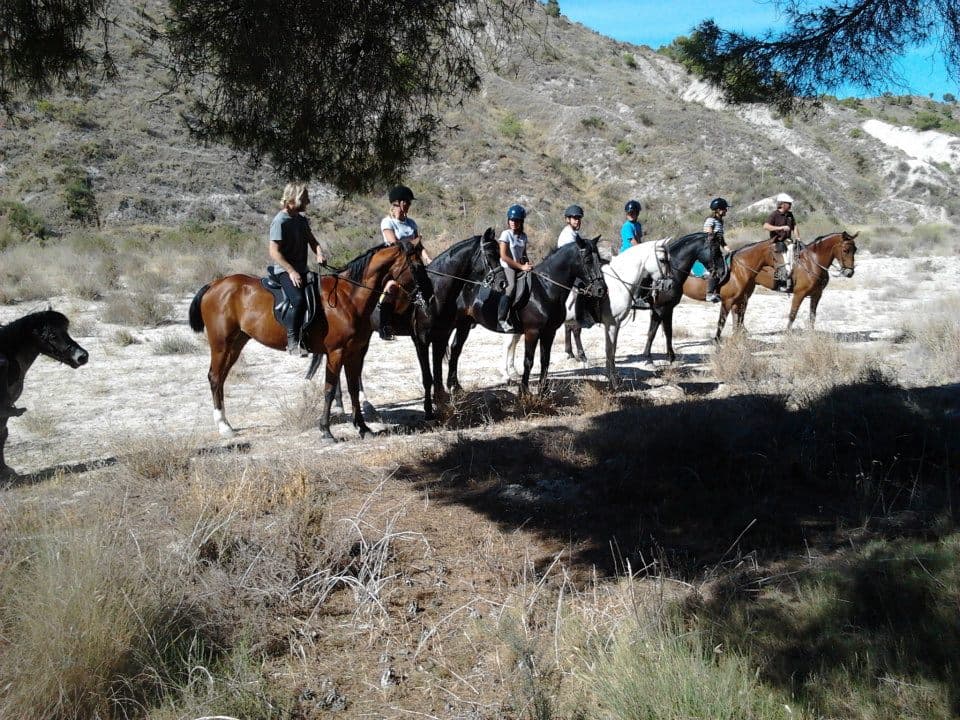 Variante Antonio Pérez Nortes