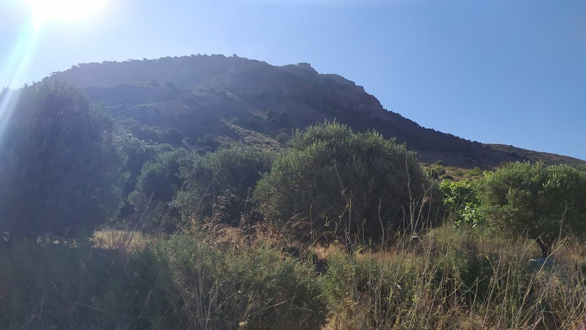 Rundweg um den Cabezo de la Fuente 3