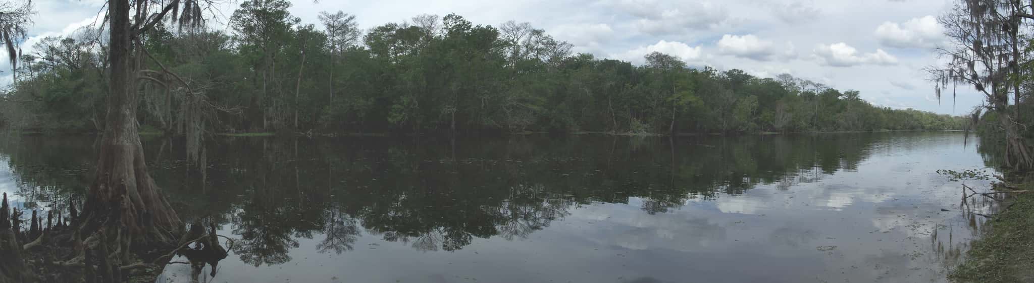 Hontoon Island State Park — Hontoon Island State Park Marina Slips 1