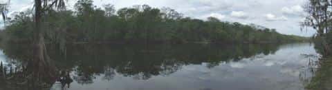Hontoon Island State Park
