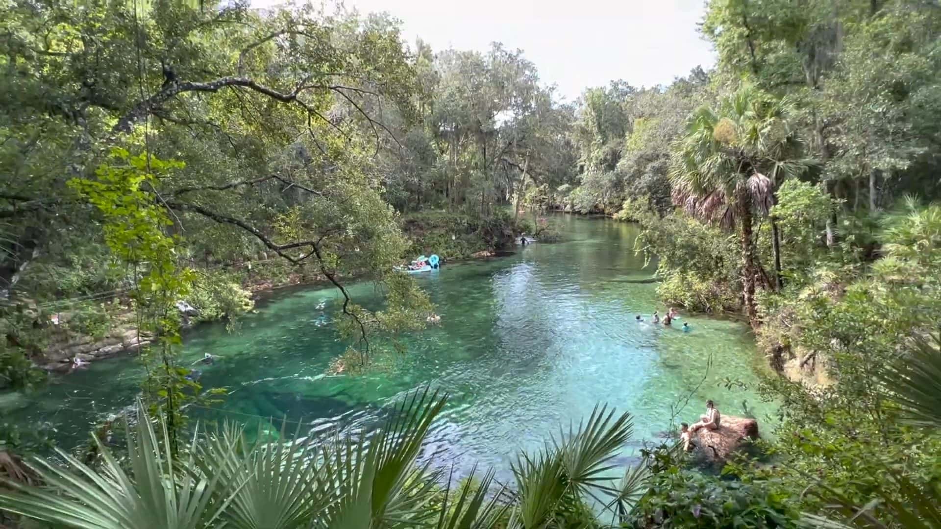 Blue Spring State Park — Blue Spring 3