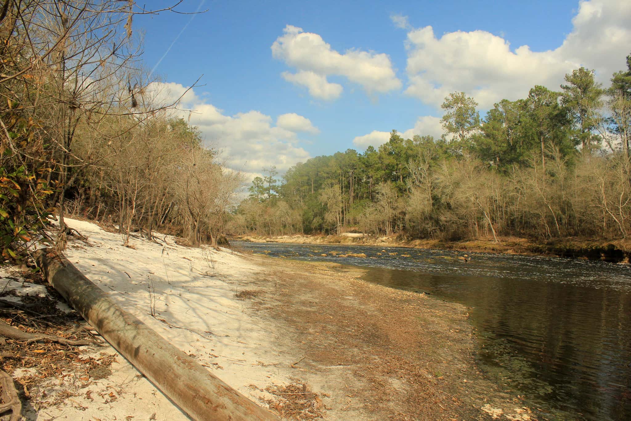 Big Shoals State Park 2