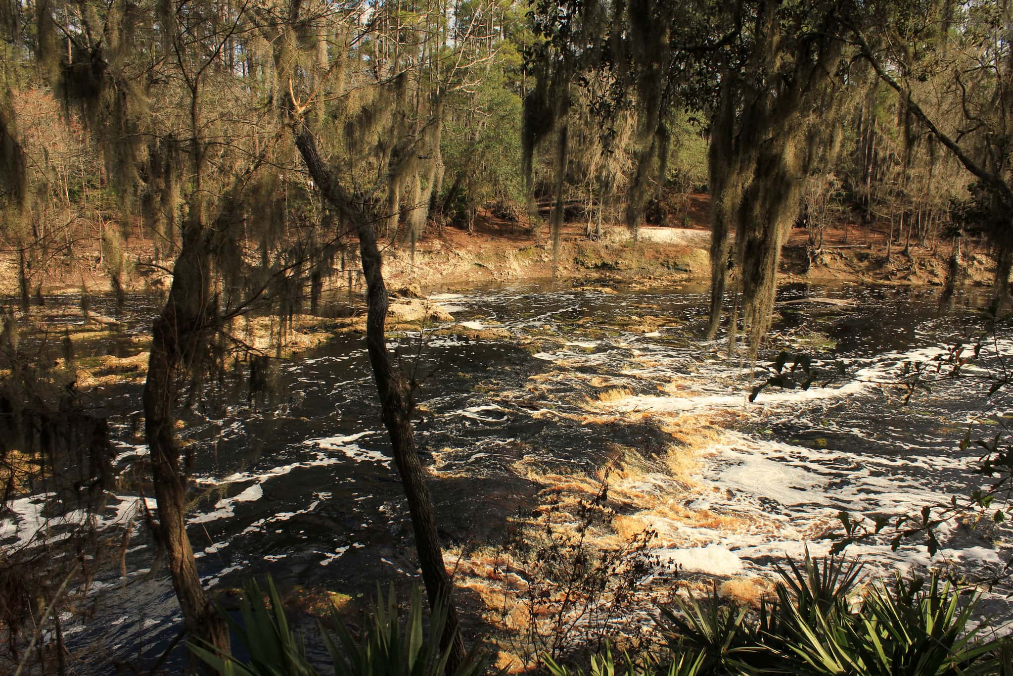 Big Shoals State Park 1