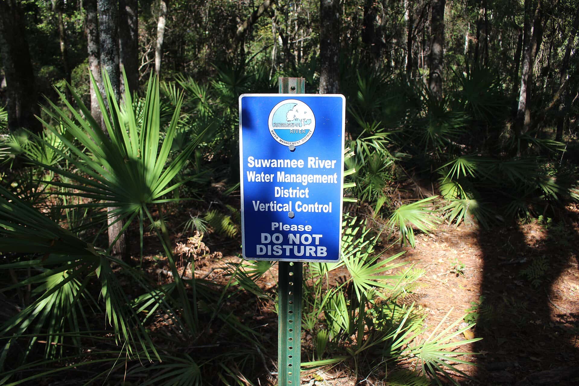 Big Shoals State Park 3