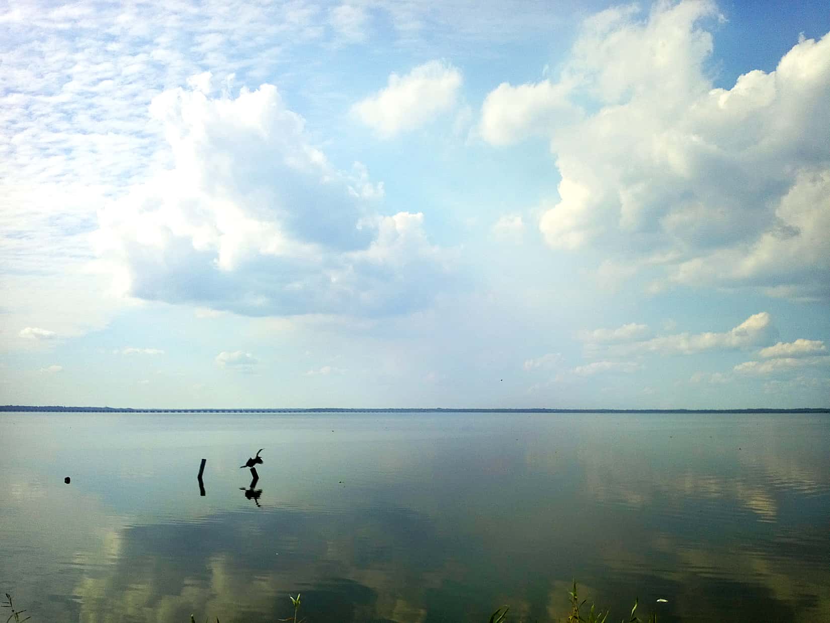 Lake Jesup Fishing: Largemouth, Striped Bass & Shallow Flats 3